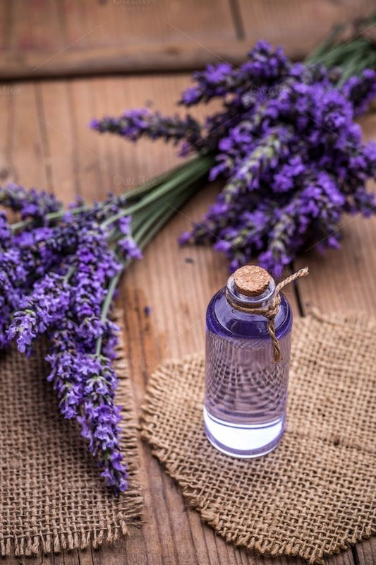 Fragancia de Lavanda